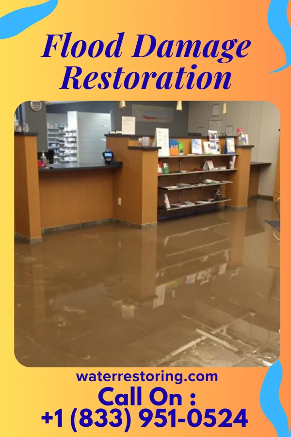 Flood Damage Restoration in Renville, MN