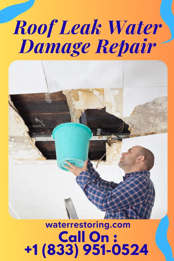 Roof Leak Water Damage Repair in Renville, MN