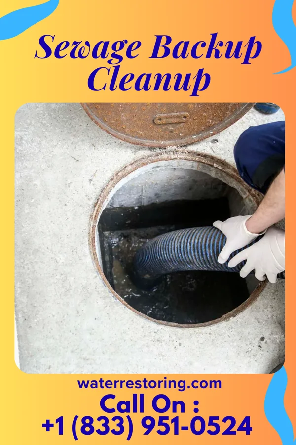 Sewage Backup Cleanup in Renville, MN